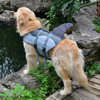 Adorable Canine Life Vests