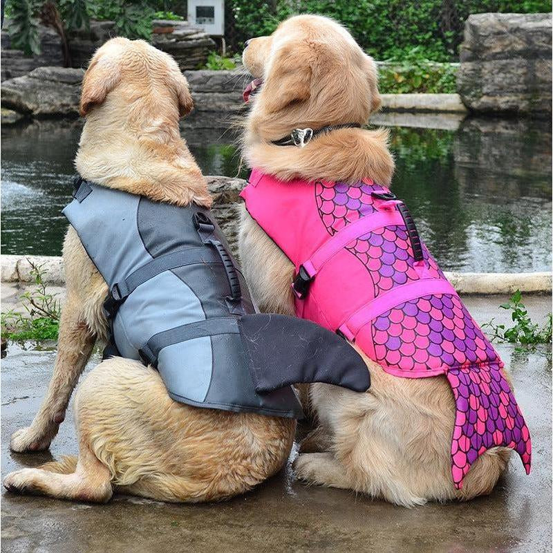 Adorable Canine Life Vests