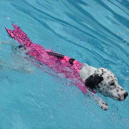 Adorable Canine Life Vests