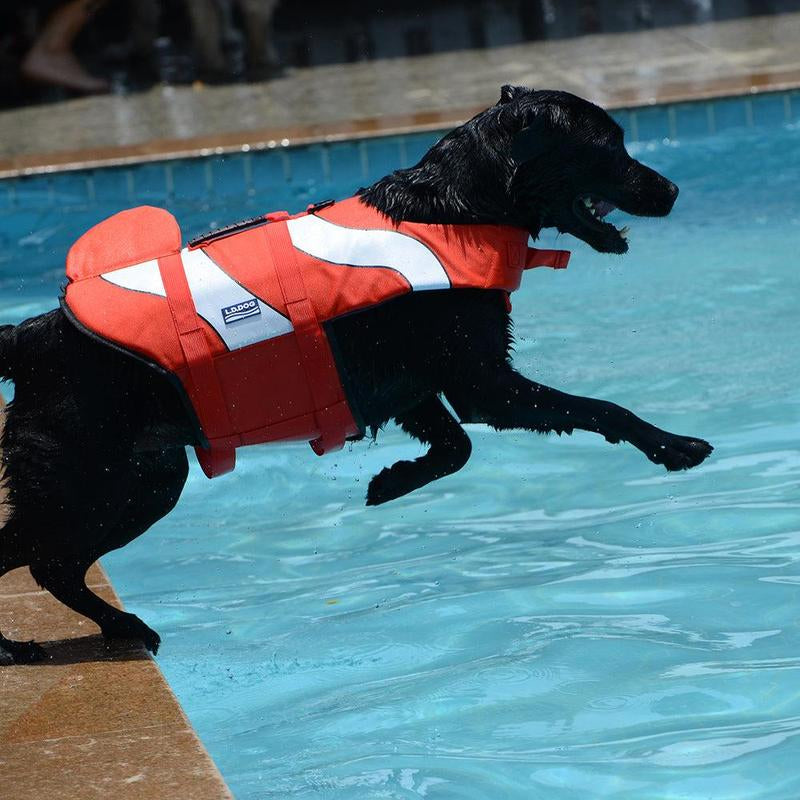 Adorable Canine Life Vests