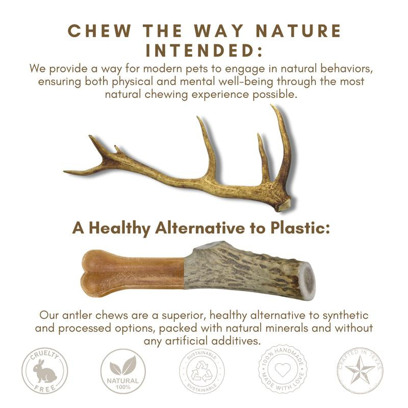 6 Pack Small Deer Antler Dog Chews for Dogs Whitetail Naturals